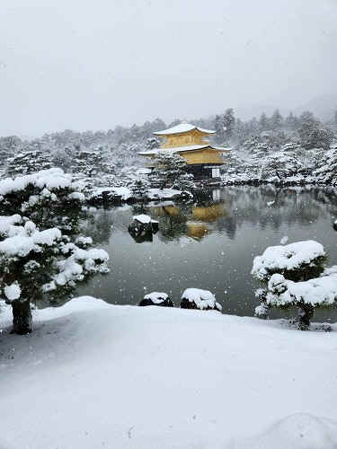 20260208_111748.jpg (62248 �o�C�g)