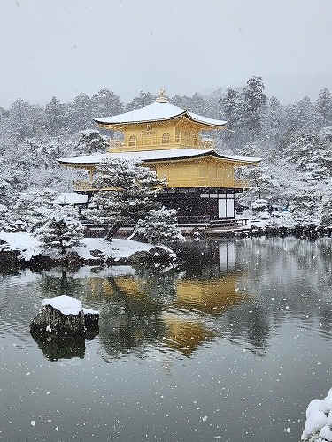 20260208_111751.jpg (95619 �o�C�g)