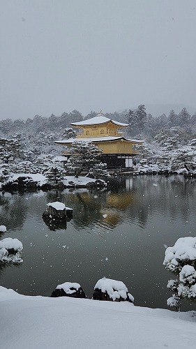 20260208_111802 - frame at 0m0s.jpg (48828 �o�C�g)