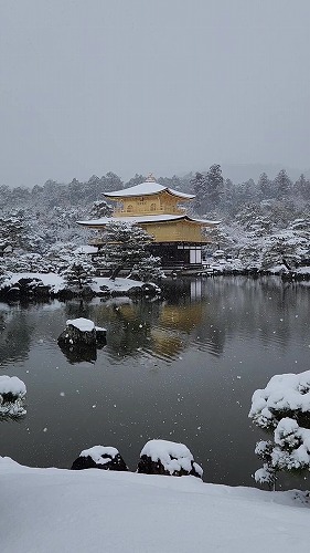 20260208_111802 - frame at 0m1s.jpg (47037 �o�C�g)