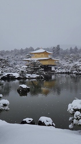 20260208_111802 - frame at 0m4s.jpg (46978 �o�C�g)