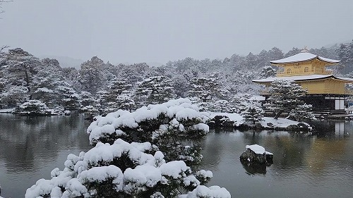 20260208_111815 - frame at 0m12s.jpg (63337 �o�C�g)