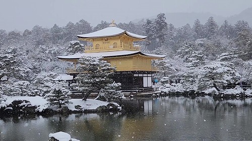 20260208_111815 - frame at 0m17s.jpg (74687 �o�C�g)