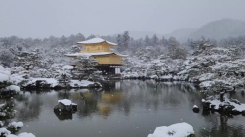 20260208_111815 - frame at 0m3s.jpg (63907 �o�C�g)