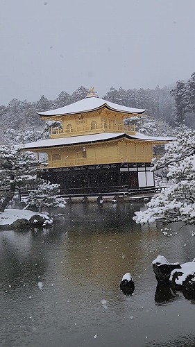 20260208_112012 - frame at 0m2s.jpg (56890 �o�C�g)