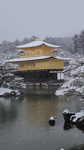 20260208_112012 - frame at 0m4s.jpg (57841 �o�C�g)