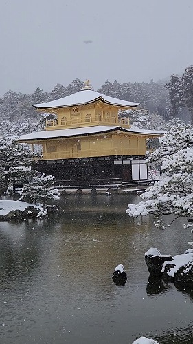 20260208_112012 - frame at 0m5s.jpg (58485 �o�C�g)