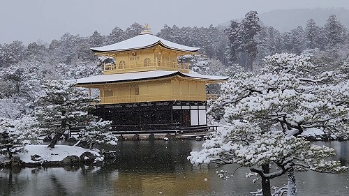 20260208_112027 - frame at 0m12s.jpg (79580 �o�C�g)