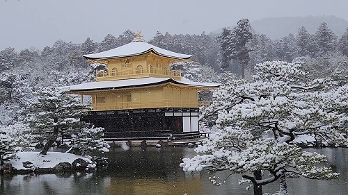 20260208_112027 - frame at 0m7s.jpg (77139 �o�C�g)