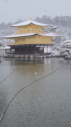 20260208_112203 - frame at 0m2s.jpg (59031 �o�C�g)