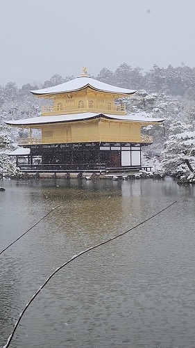 20260208_112203 - frame at 0m6s.jpg (55814 �o�C�g)