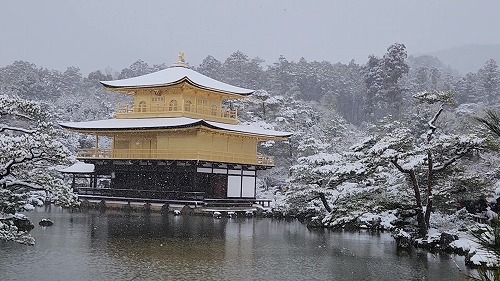 20260208_112222 - frame at 0m11s.jpg (69468 �o�C�g)