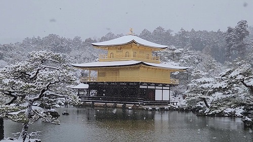 20260208_112222 - frame at 0m4s.jpg (69855 �o�C�g)