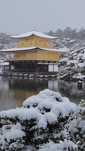 20260208_112344 - frame at 0m4s.jpg (68087 �o�C�g)