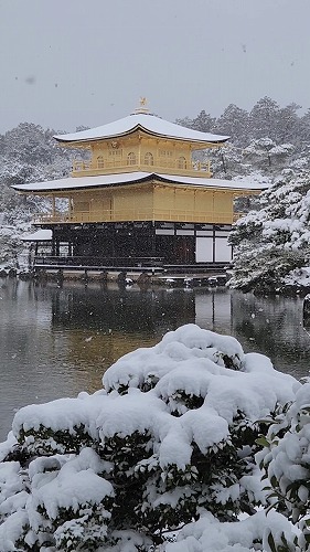 20260208_112344 - frame at 0m6s.jpg (66578 �o�C�g)