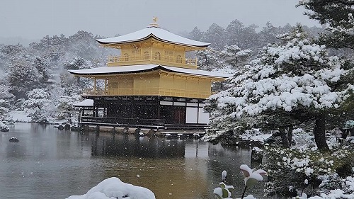 20260208_112428 - frame at 0m10s.jpg (75322 �o�C�g)