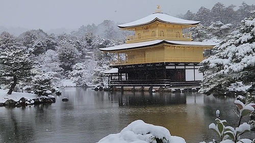 20260208_112428 - frame at 0m3s.jpg (71466 �o�C�g)