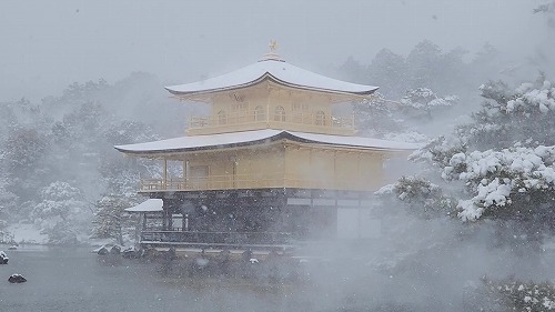 20260208_112534 - frame at 0m13s.jpg (40658 �o�C�g)