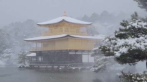 20260208_112534 - frame at 0m7s.jpg (51451 �o�C�g)