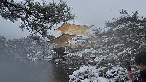 20260208_112805 - frame at 0m11s.jpg (63842 �o�C�g)