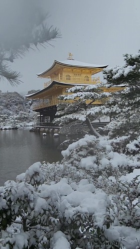 20260208_112828 - frame at 0m2s.jpg (60825 �o�C�g)