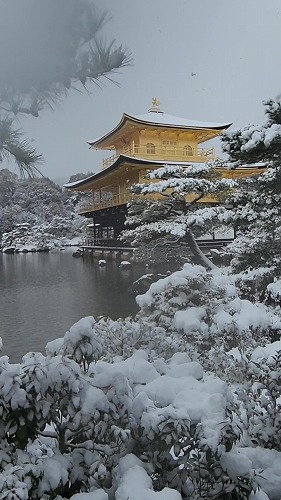 20260208_112828 - frame at 0m4s.jpg (61229 �o�C�g)