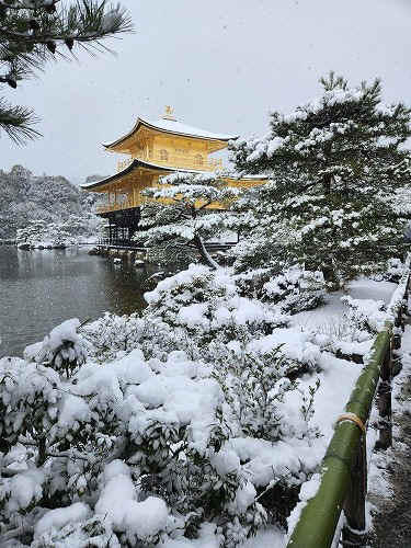 20260208_113240.jpg (106057 �o�C�g)