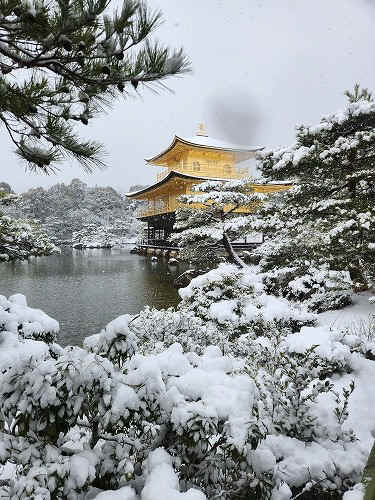 20260208_113242.jpg (107886 �o�C�g)