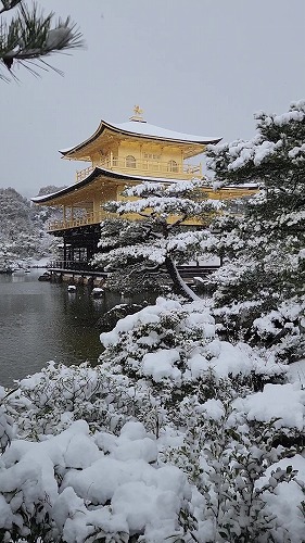 20260208_113249 - frame at 0m2s.jpg (73278 �o�C�g)