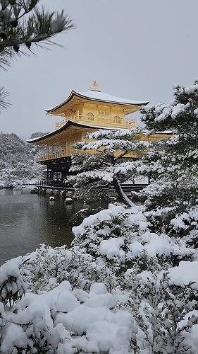 20260208_113249 - frame at 0m9s.jpg (72331 �o�C�g)