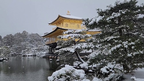 20260208_113312 - frame at 0m17s.jpg (76586 �o�C�g)