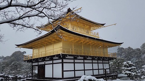 20260208_113527 - frame at 0m2s.jpg (70611 �o�C�g)