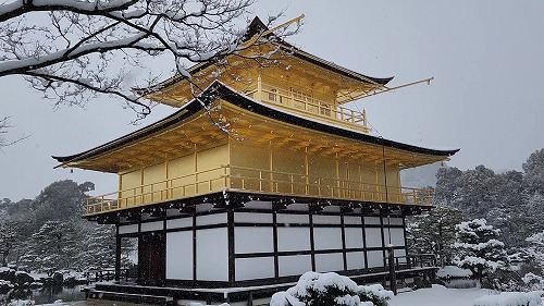 20260208_113527 - frame at 0m5s.jpg (71399 �o�C�g)