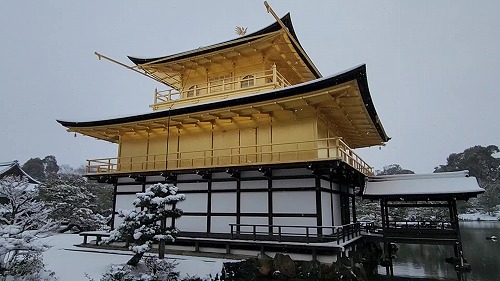 20260208_113708 - frame at 0m2s.jpg (53966 �o�C�g)