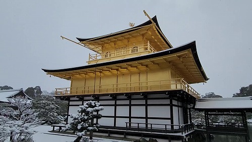 20260208_113708 - frame at 0m6s.jpg (49761 �o�C�g)