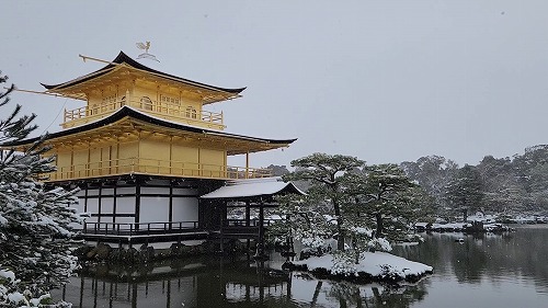 20260208_113956 - frame at 0m17s.jpg (56802 �o�C�g)