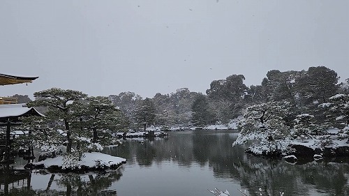 20260208_113956 - frame at 0m4s.jpg (52541 �o�C�g)