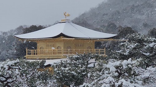 20260208_114630 - frame at 0m19s.jpg (72203 �o�C�g)