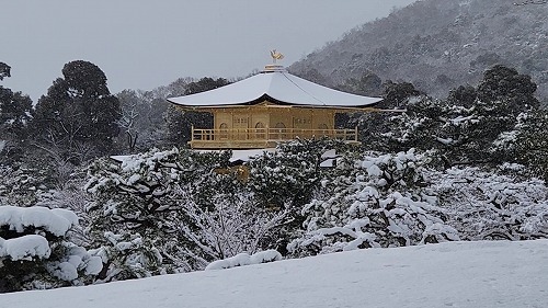 20260208_114630 - frame at 0m8s.jpg (72742 �o�C�g)