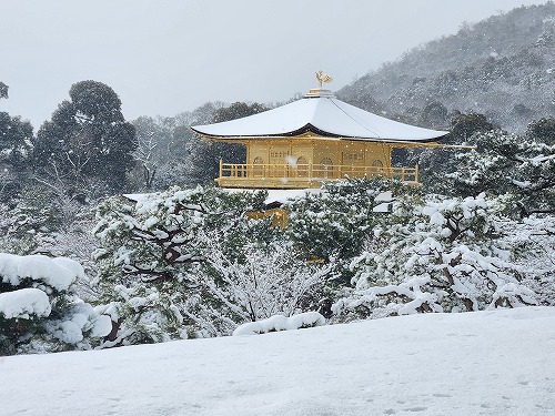 20260208_114705.jpg (93202 �o�C�g)