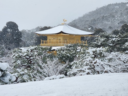 20260208_114709.jpg (94388 �o�C�g)