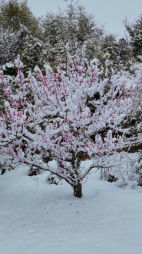 20260208_115131 - frame at 0m21s.jpg (85037 �o�C�g)