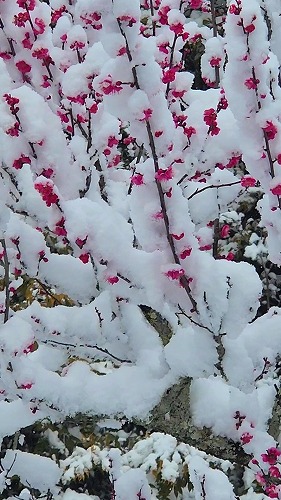 20260208_115131 - frame at 0m9s.jpg (75768 �o�C�g)