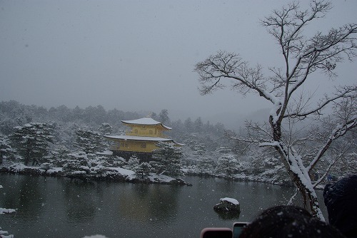 IMGP6492.jpg (57813 �o�C�g)