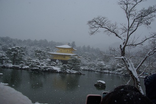 IMGP6493.jpg (57978 �o�C�g)