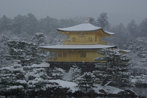 IMGP6504.jpg (71702 �o�C�g)