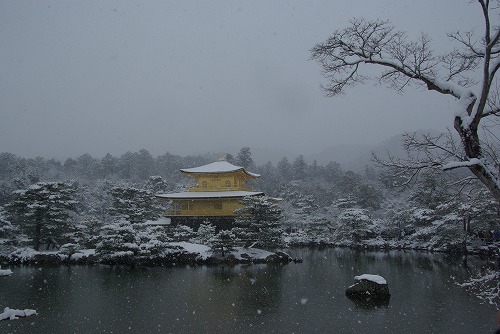 IMGP6509.jpg (56252 �o�C�g)