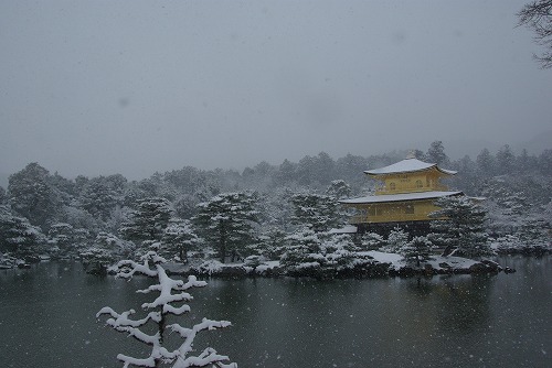 IMGP6513.jpg (51430 �o�C�g)