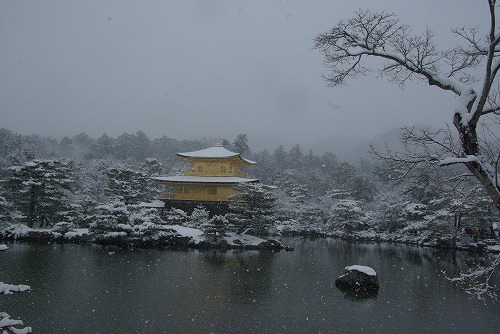 IMGP6515.jpg (58939 �o�C�g)