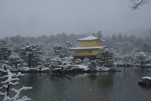 IMGP6521.jpg (58886 �o�C�g)